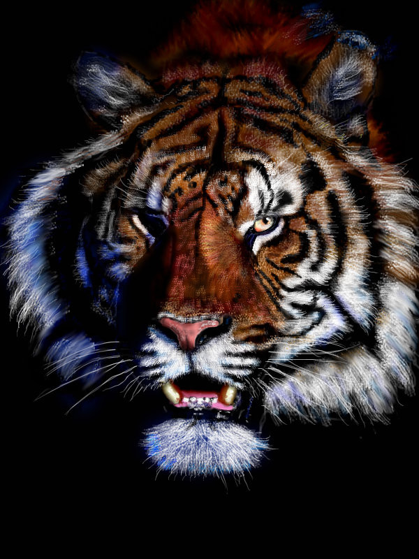 tiger