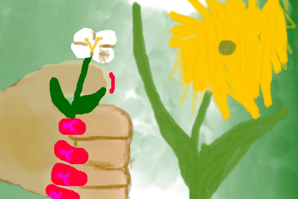 the-flowers