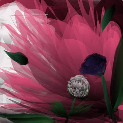 abstract flowers by blackrose666