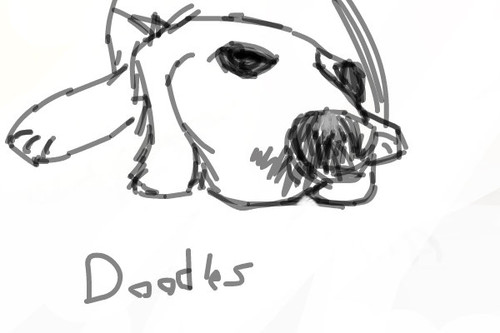 Doodles by sara8903