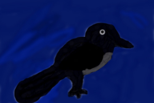 Black bird by gabux