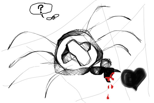 spider and the fly by dervish