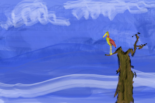bird by dervish