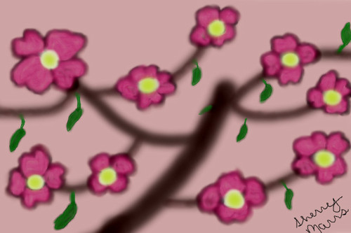 cherry blossom by sherrybaby