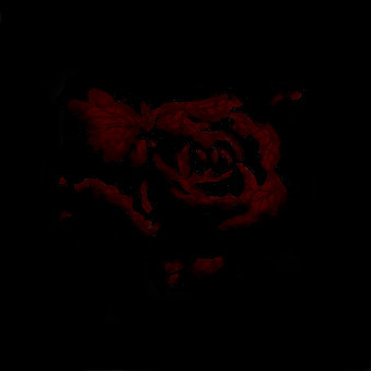 Rose by Mystique