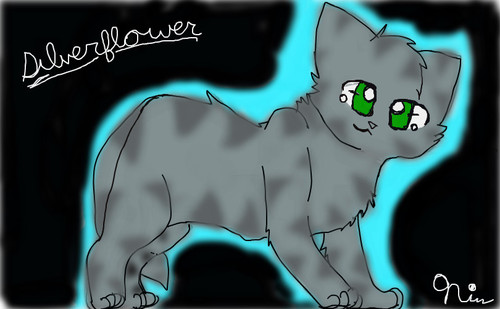 kitty cat.jpg by Silverflower