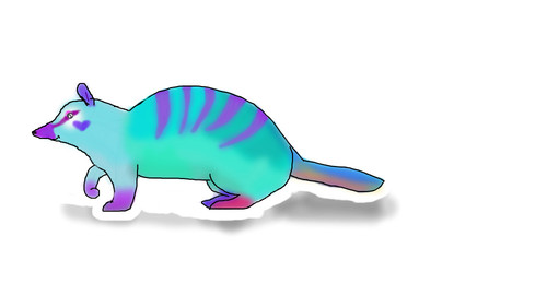 numbat by schuffles