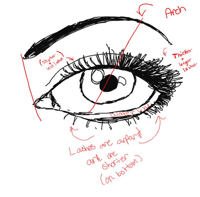 Drawing an eye. by artfreaksue