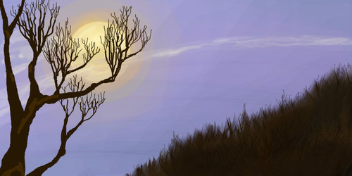 3/7/12 Backyard Moon by nedeeb