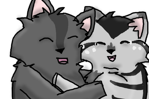 graystripe and millie by emmakamerer