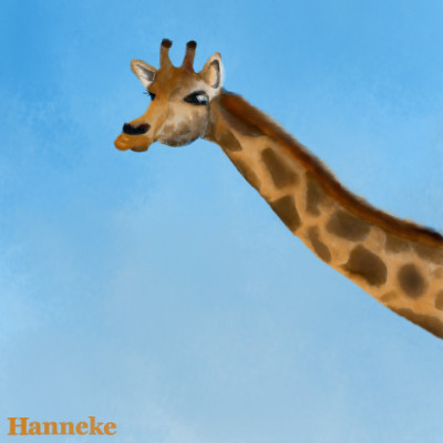 Giraffe by Hanneke
