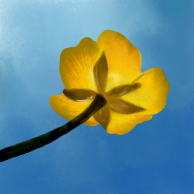 Flower by Hanneke