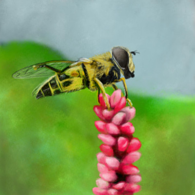 Bee by Hanneke