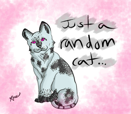 Random Cat!!! by roses56