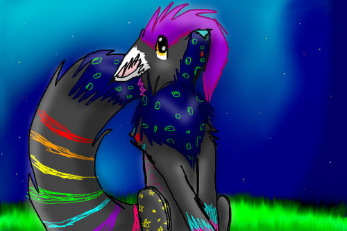 star gazing by emmakamerer