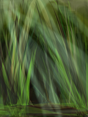 Grass by friendsofold