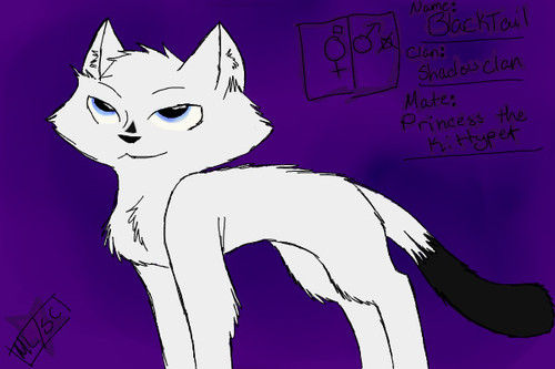New Warrior by Scarclaw11