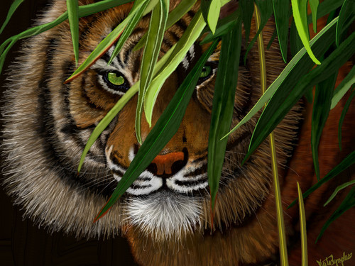 Big Cat