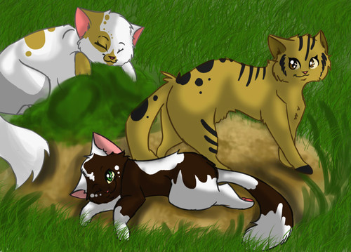 request by jayfeatherrocks