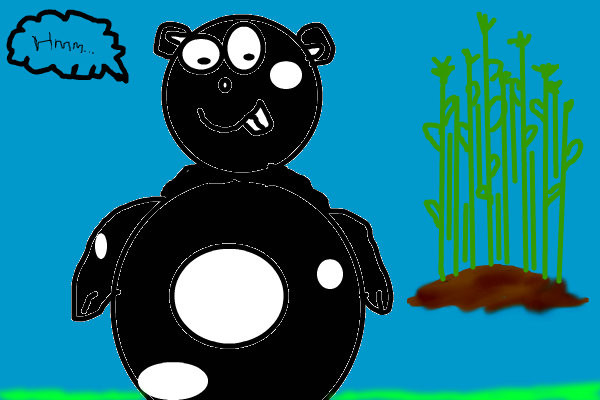 panda