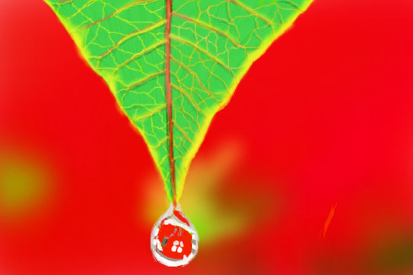 leaf