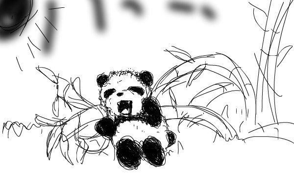 fast-sketch-panda