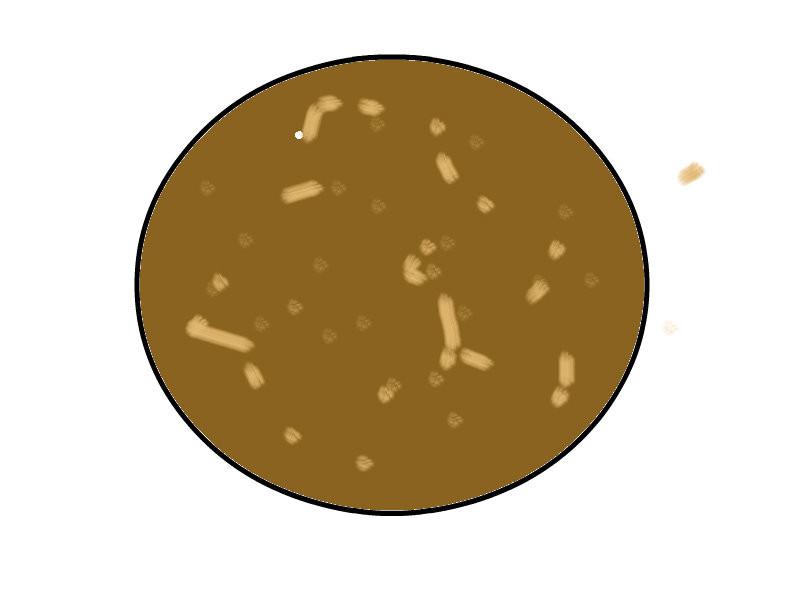 mercury