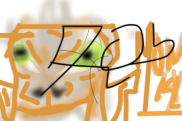 monkey