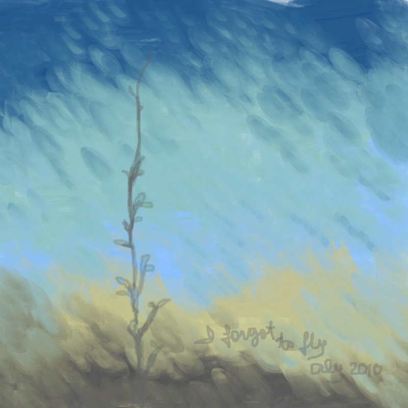 i-forgot-to-fly