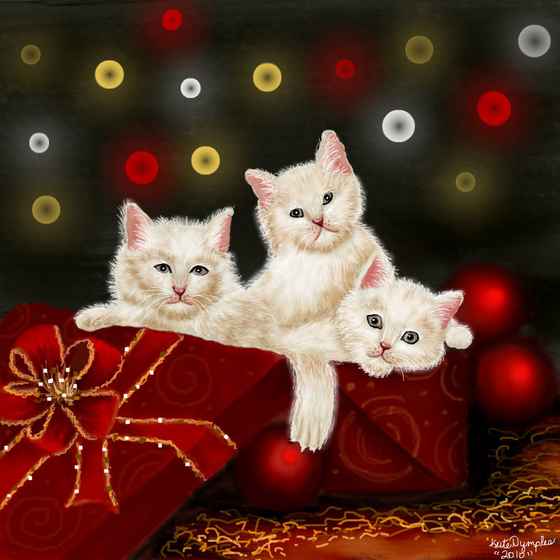 merry-christmas-queeky