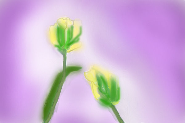 purple-and-yellow