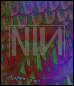 nin