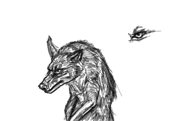 werewolf-doodles