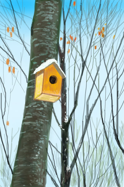 bird-house
