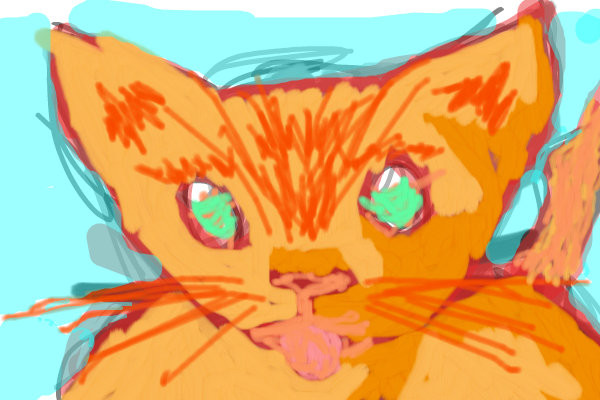 kat