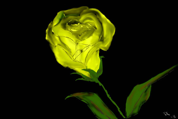 yellow-rose