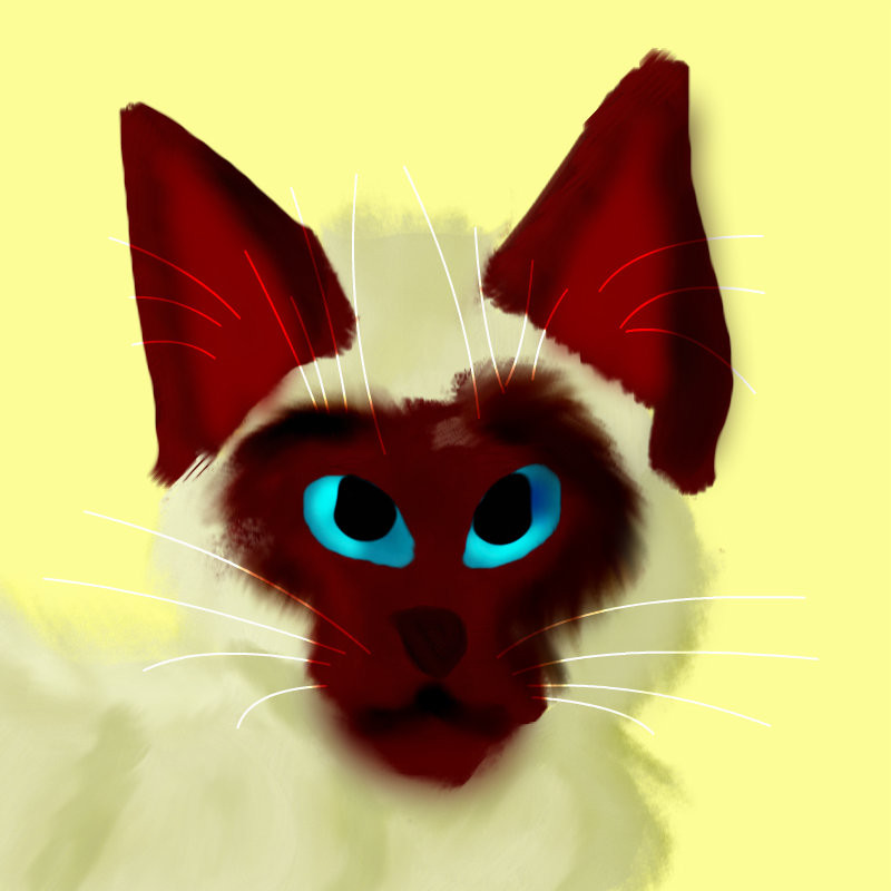 realistic-cat-fail