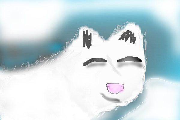 arctic-fox