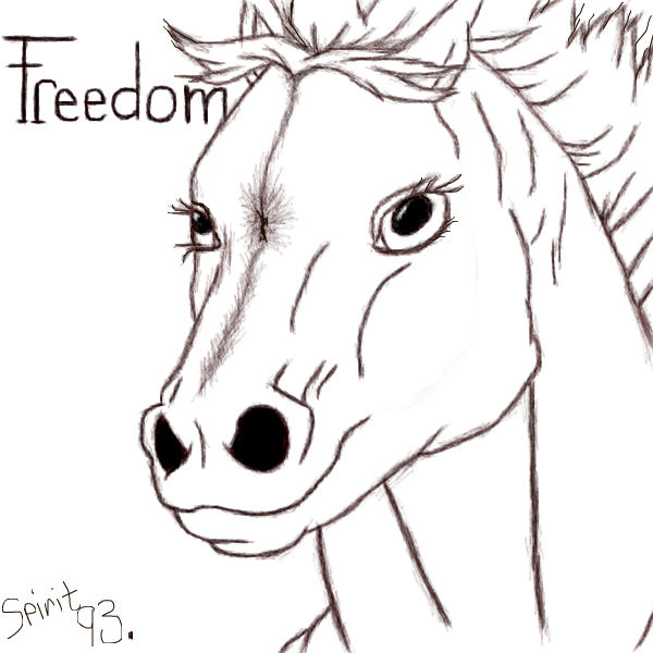 freedom