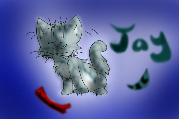 jayfeather