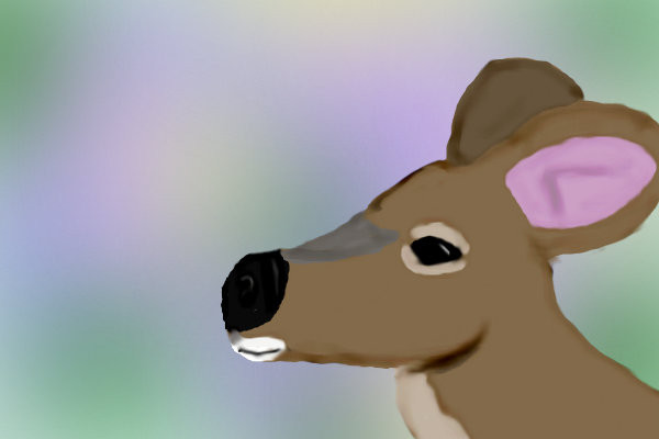deer