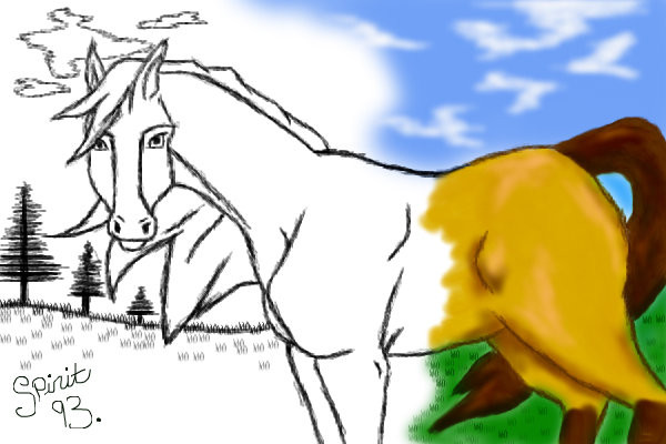 spirit-stallion-of-the