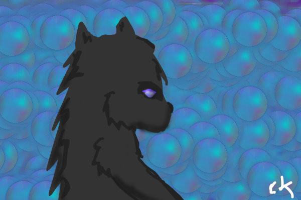 shadow