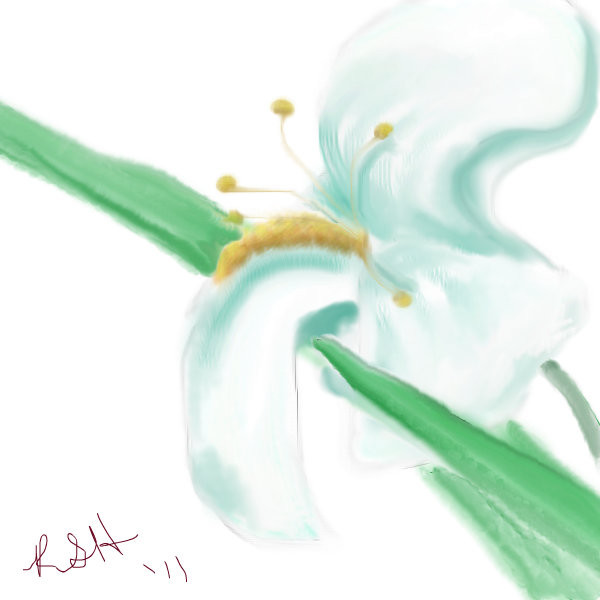 fleur