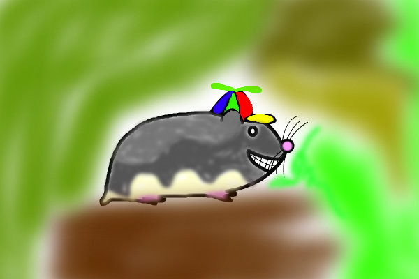 hamster