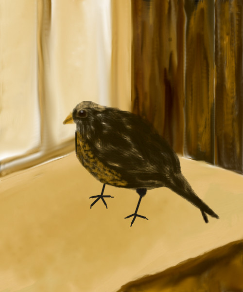 longing-for-freedom
