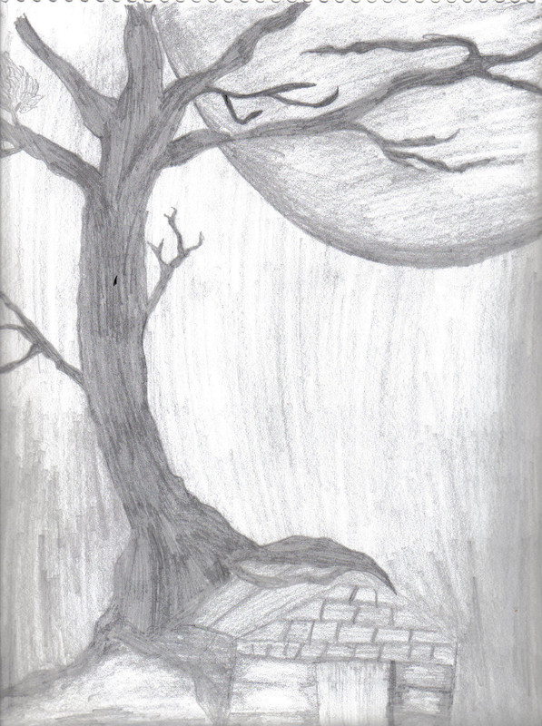 treehousefusionjpg