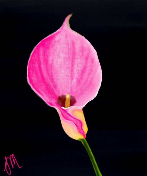 pink