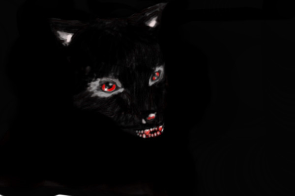 wolf-in-the-dark