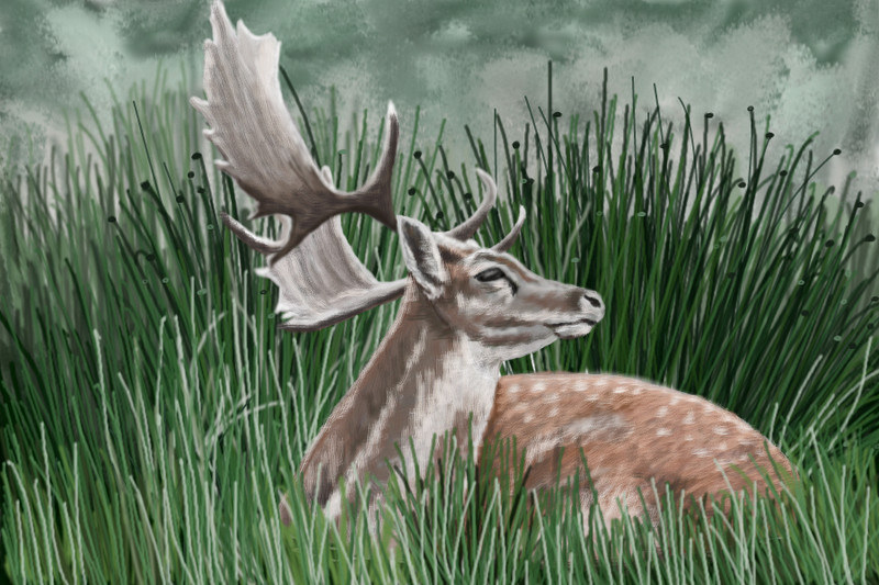 the-stag